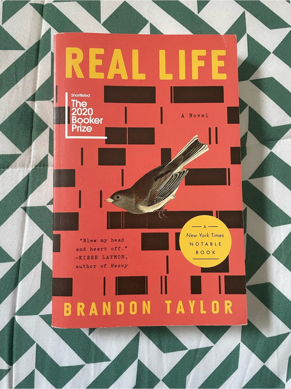 Real Life by Brandon Taylor